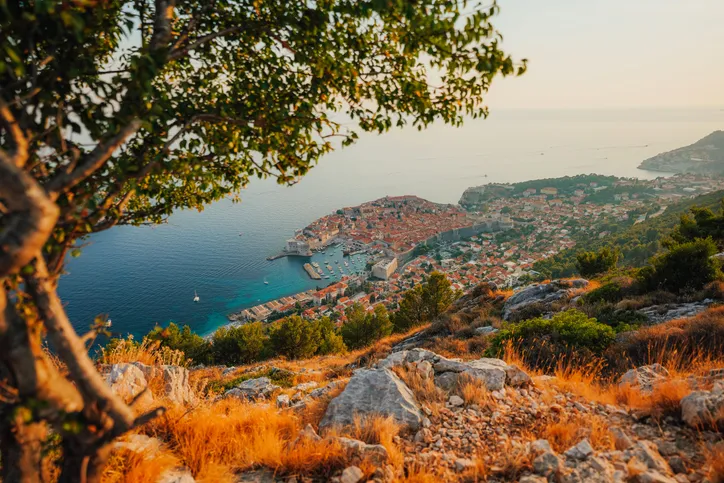 Panorámás kilátás Dubrovnik óvárosára és a tengerpartra a Srđ-hegyről naplementében, előtérben egy fa lombjával.